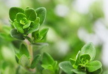 Продукты для здоровья сердца